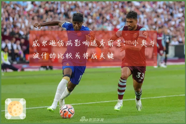 威尔逊伤病影响选秀前景:小奥与波什的比较或将成关键