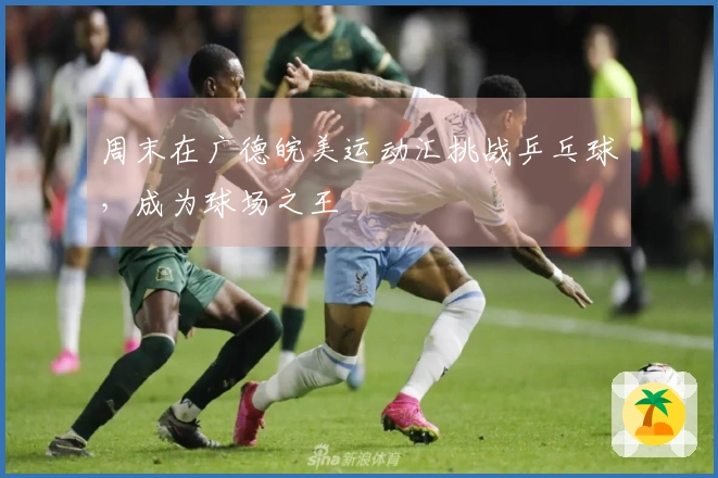 周末在广德皖美运动汇挑战乒乓球，成为球场之王